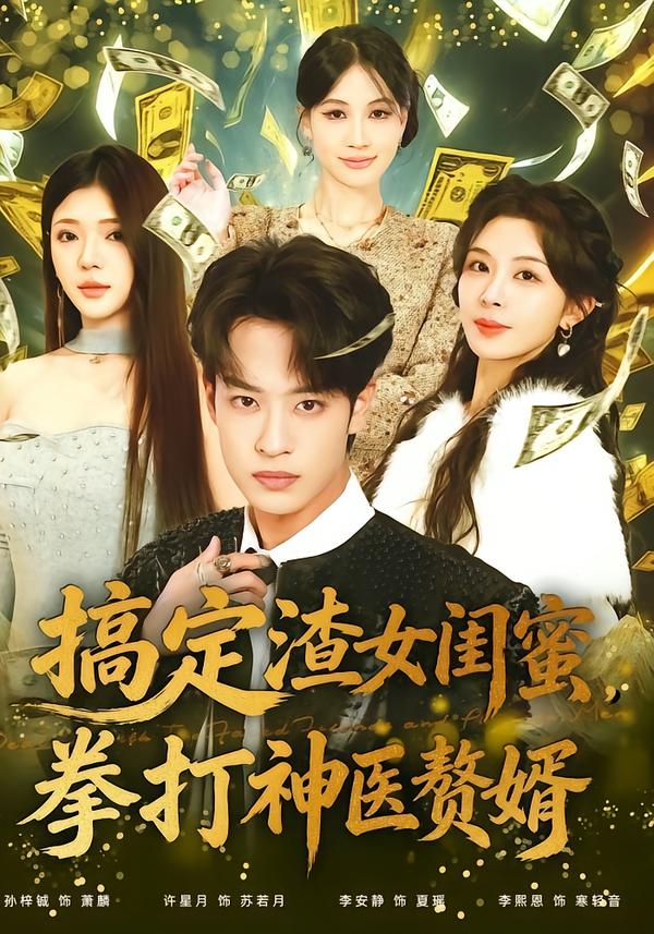 搞定渣女闺蜜拳打神医赘婿